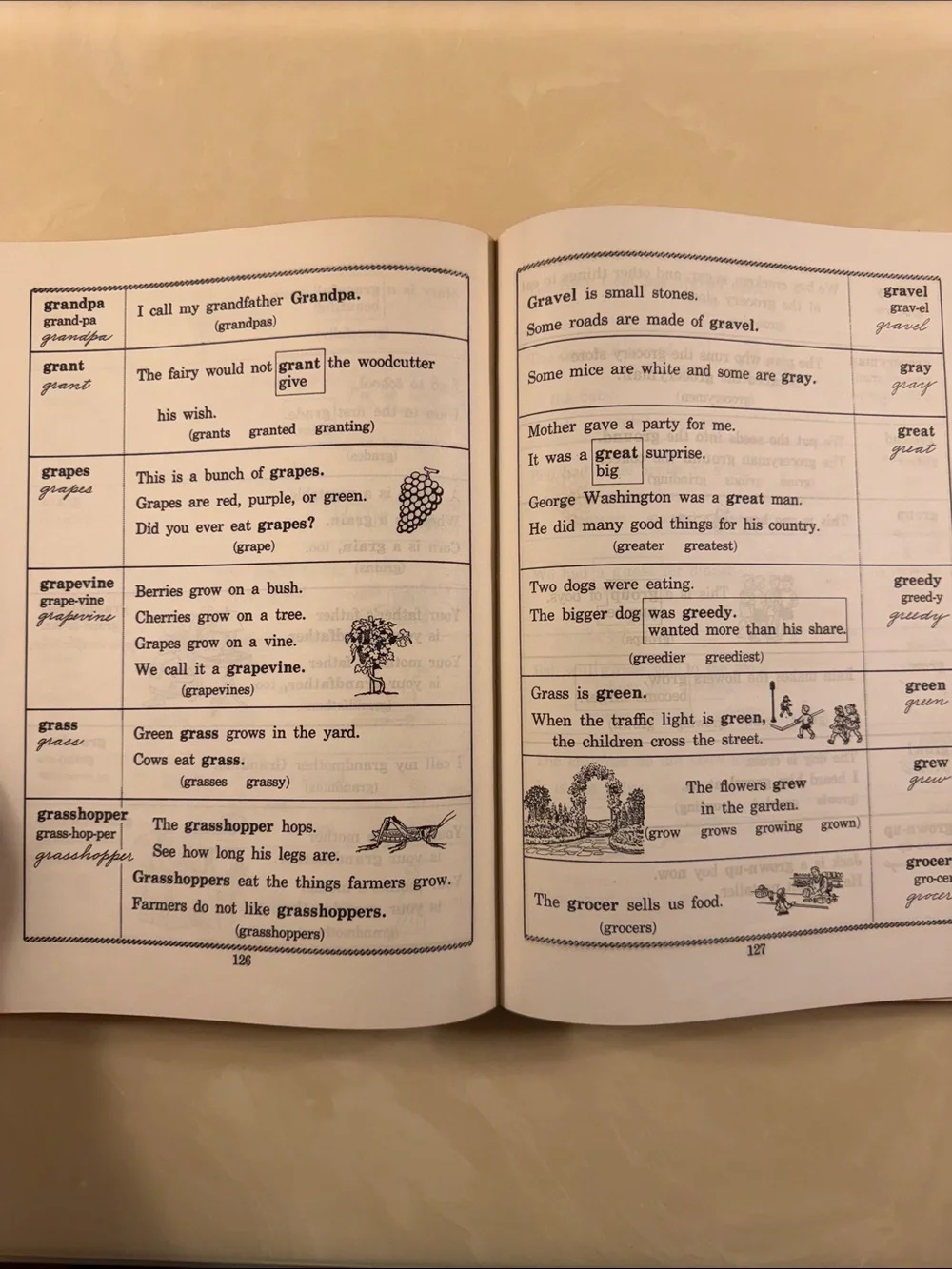 Vintage -The Picture Dictionary for Children